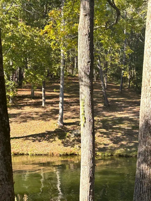 023 N Co Rd 30, Florence, AL 35634