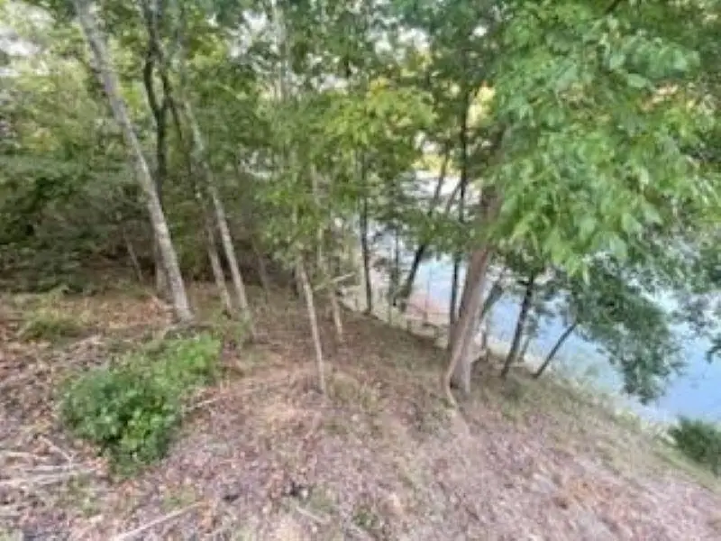0 Co Rd 369, Bremen, AL 35057 - #3