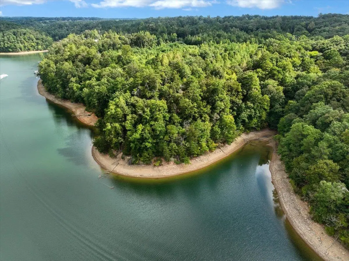 0 Co Rd 351 #Tract 1, Crane Hill, AL 35053 - #1