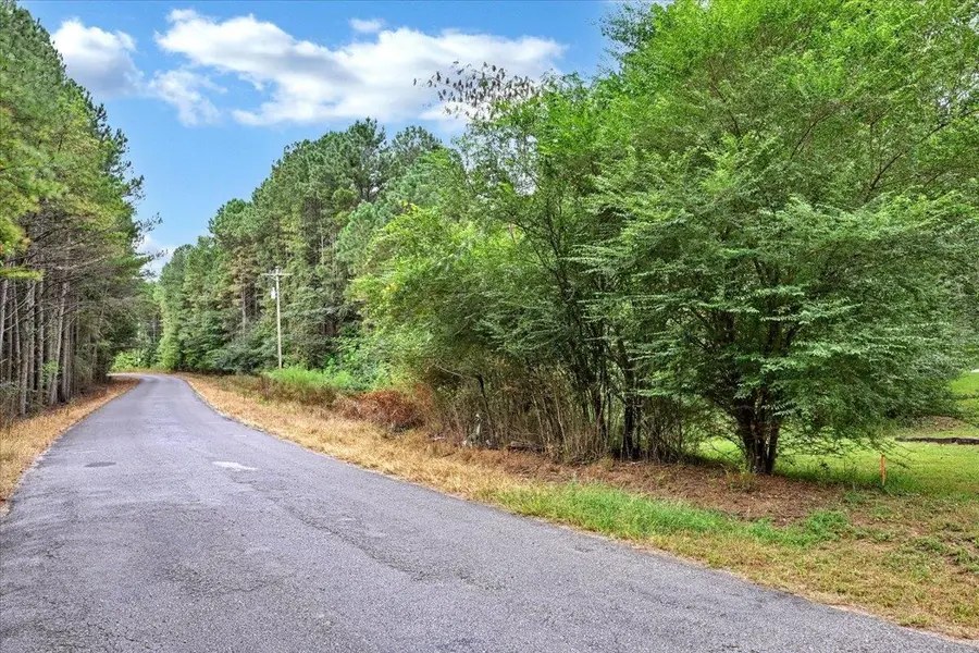 0 Co Rd 351 #Tract 1, Crane Hill, AL 35053 - #3