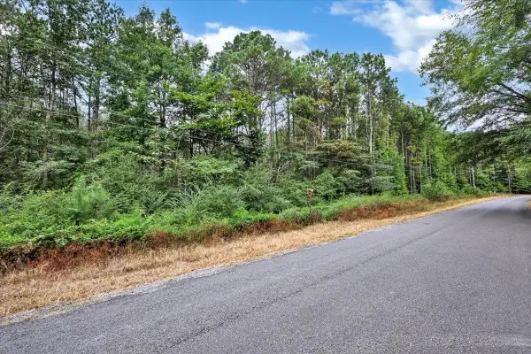 0 Co Rd 351 #Tract 2, Crane Hill, AL 35053