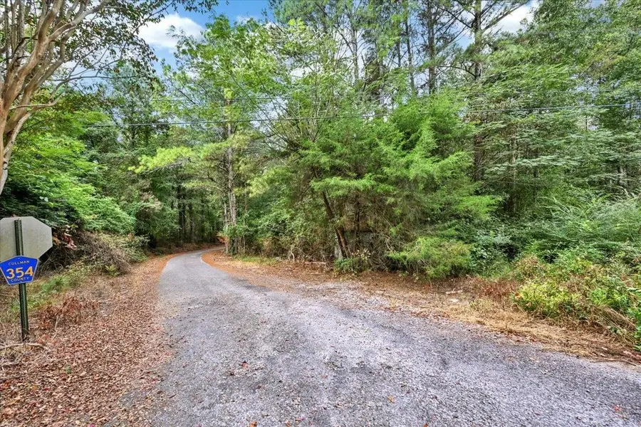 0 Co Rd 351 #Tract 2, Crane Hill, AL 35053 - #3