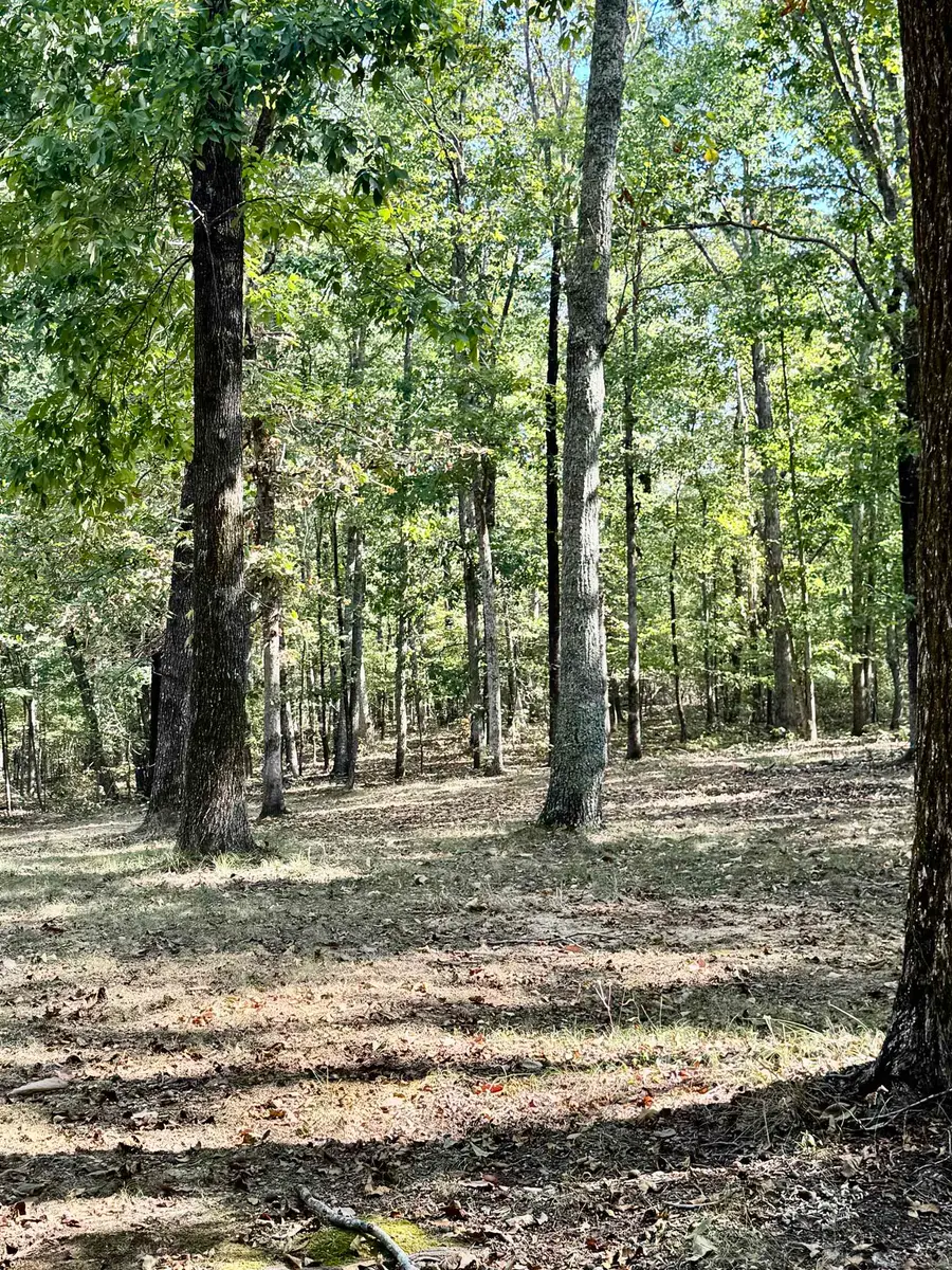 6824 Hwy 247, Red Bay, AL 35582 - #3