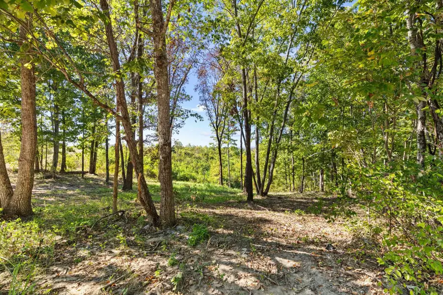 0 Co Rd 574, Hanceville, AL 35077 - #2