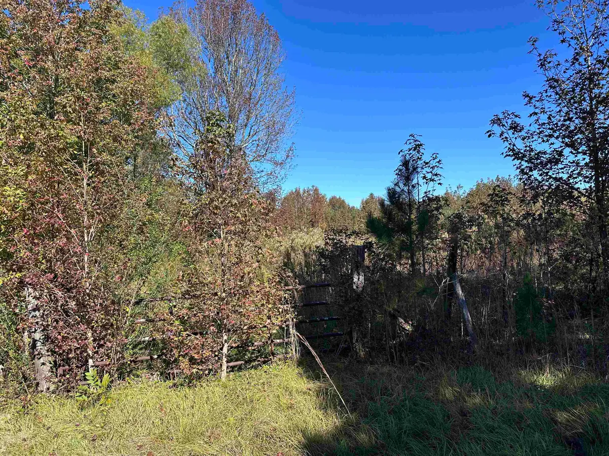 01 Co Hwy 195, Haleyville, AL 35565 - #1
