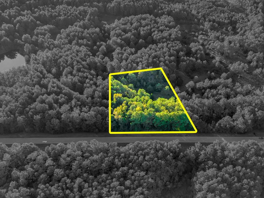 04 Hwy 13, Eldridge, AL 35554 - #3