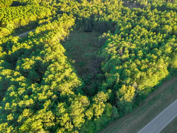 02 Hwy 13, Eldridge, AL 35554
