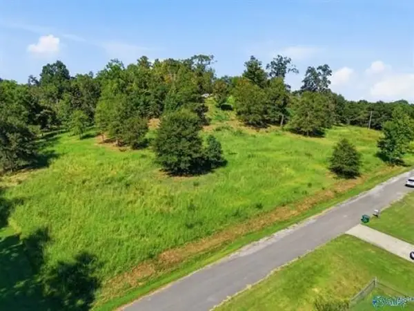 810 E Railroad Ave, Hanceville, AL 35077