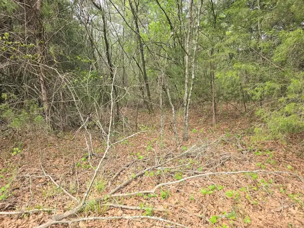 00 Daniel St, Cherokee, AL 35616