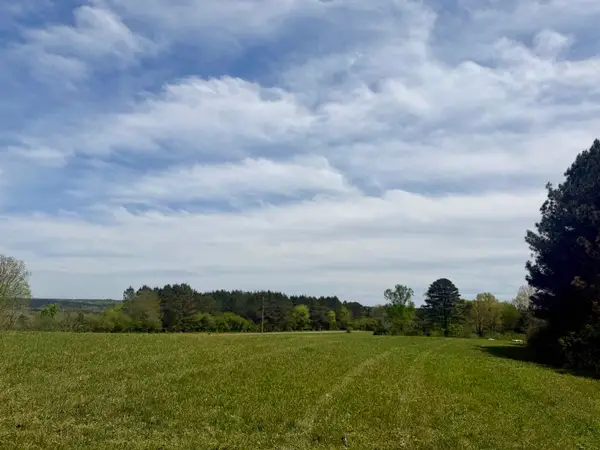 0 Co Rd 1061, Vinemont, AL 35179