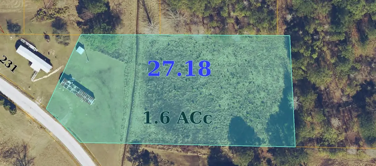 60324 Parham Gin Rd, Smithville, AL 38870 - #1