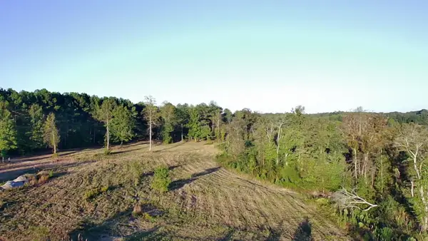 697 Co Rd 1073, Vinemont, AL 35179