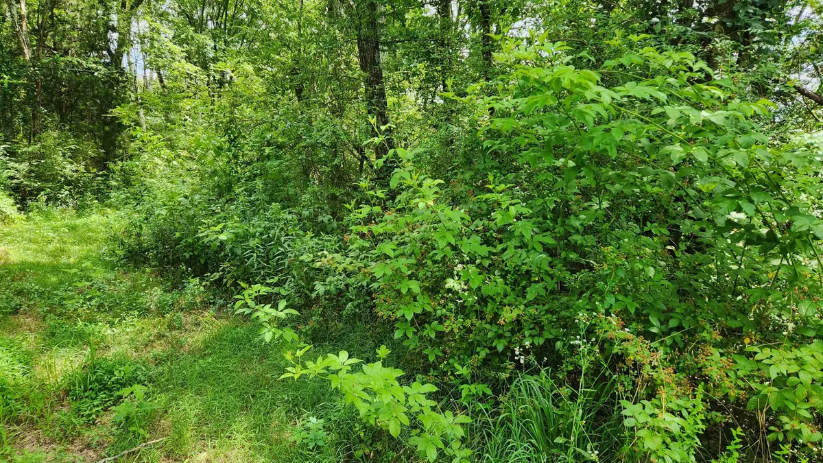 0 Hwy 20, Florence, AL 35633 - #1