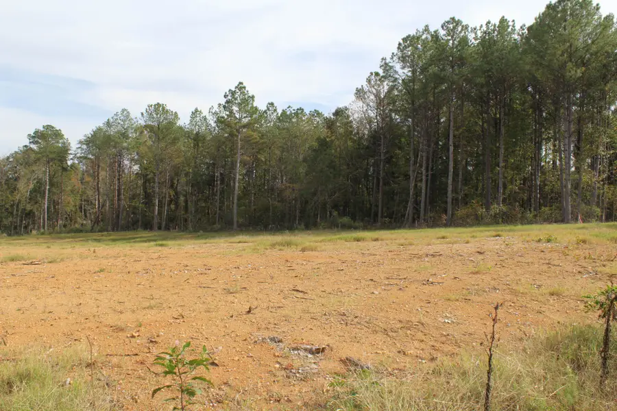 5566 Co Rd 25, Killen, AL 35645 - #2