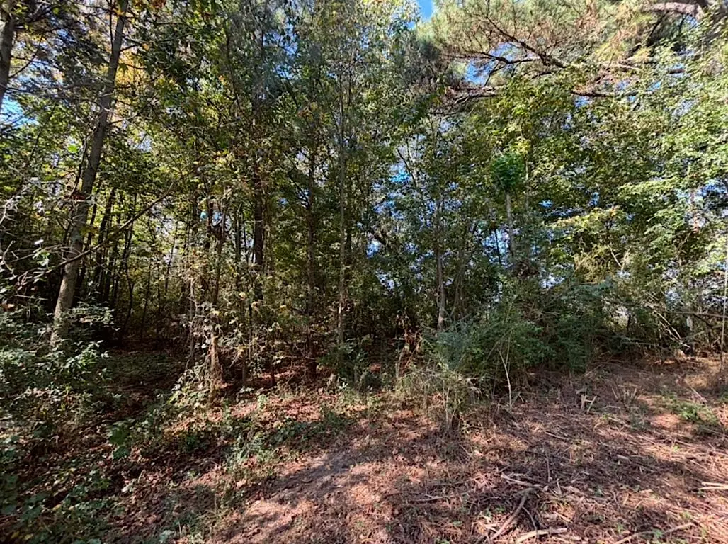 10628 Co Rd 747, Cullman, AL 35055 - #1