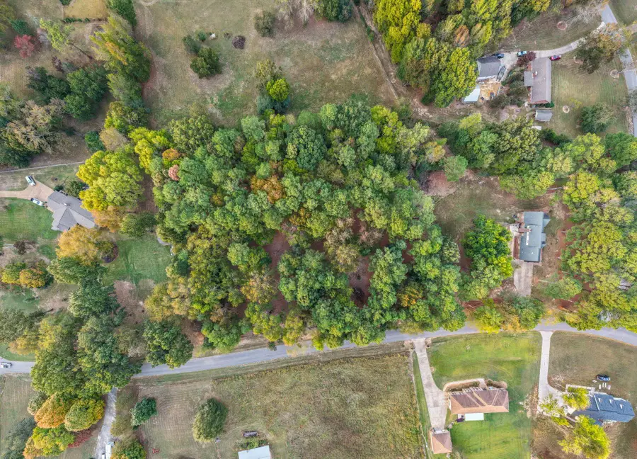 7601 Lakewood Dr, Florence, AL 35634 - #2