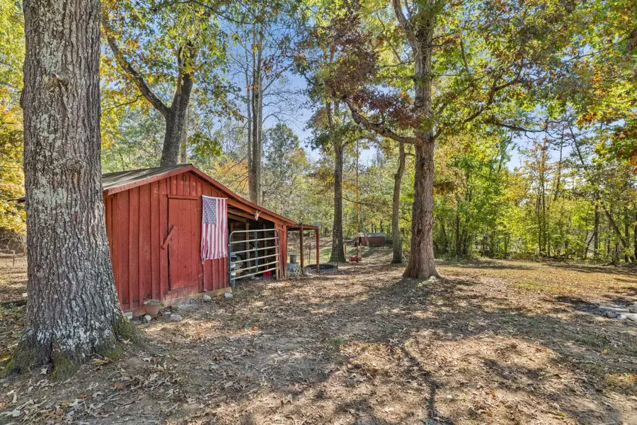 10021 Co Rd 8, Waterloo, AL 35677 - #3