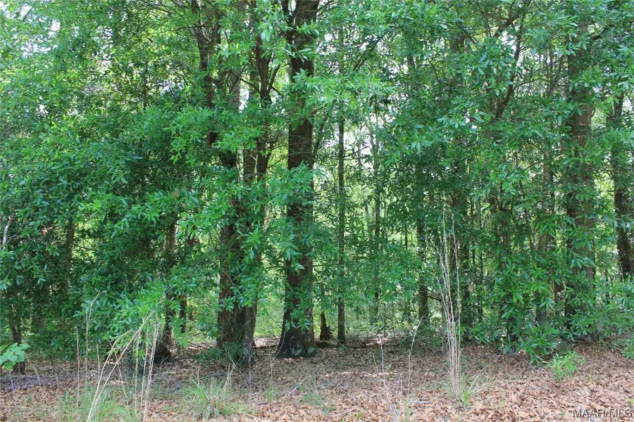 104 Oak Bluff Drive, Enterprise, AL 36330 - Image #3