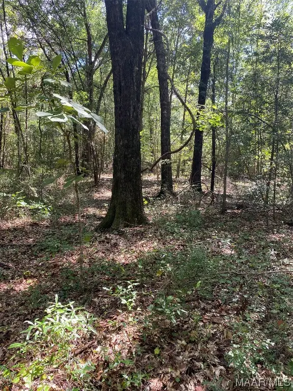 1744 County Road 57 Road, Prattville, AL 36067