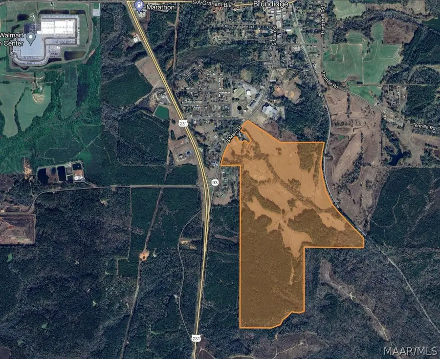 0 S Main Street, Brundidge, AL 36010 - Image #2