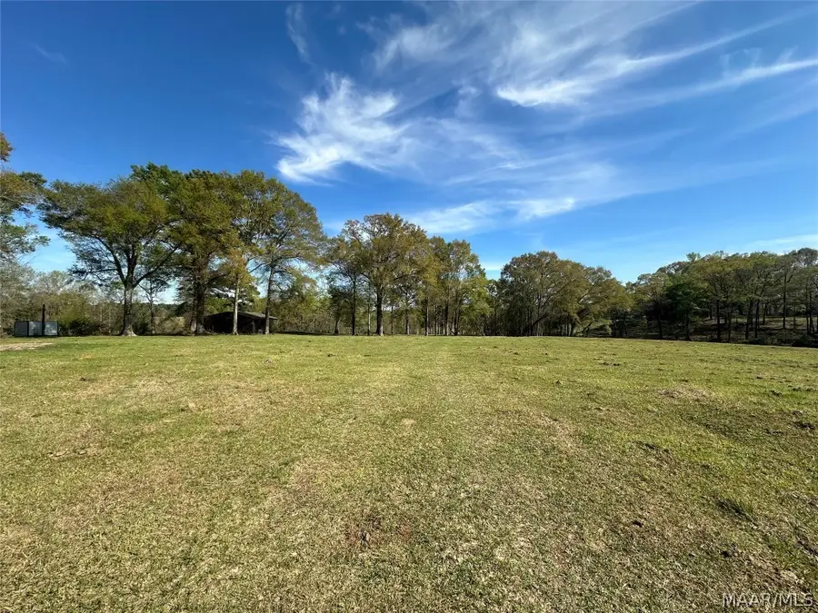 0 S Main Street, Brundidge, AL 36010 - Image #3