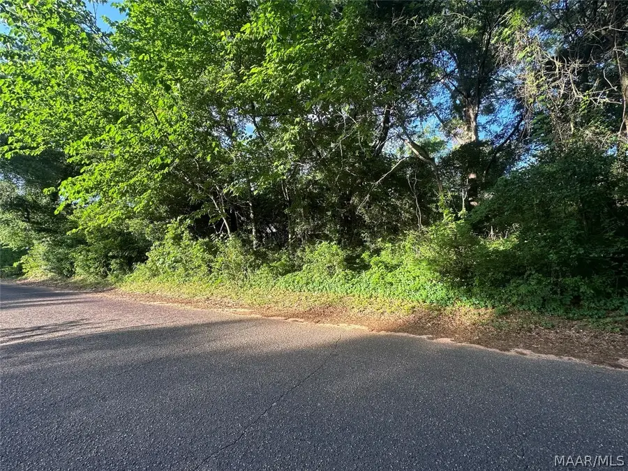 314 Mildred Street, Ozark, AL 36360 - Image #3