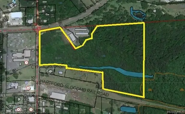 17.6 ACRES E Malvern Highway, Slocomb, AL 36375 - Image #1