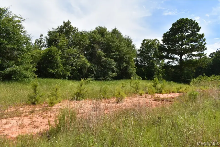TBD Freedom Heights #Lot 1, Enterprise, AL 36330 - Image #2