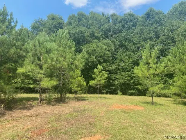 TBD Averett Road, Enterprise, AL 36330 - Image #2