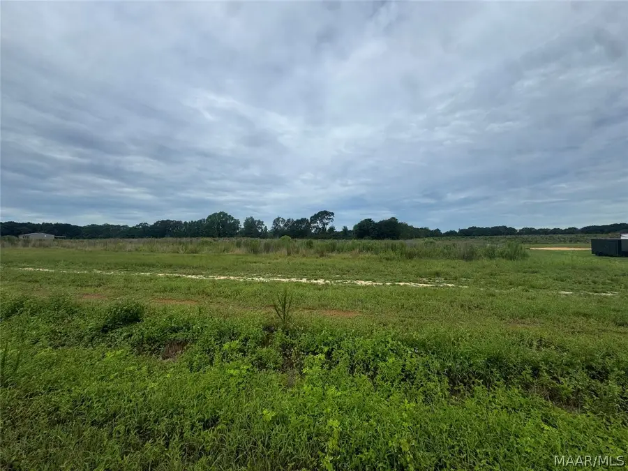 Lot 6 Blk A County Road 625, New Brockton, AL 36351 - Image #2
