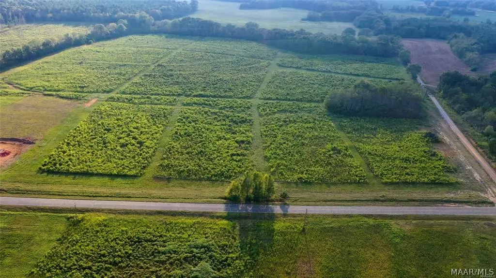 7277 County Road 625, New Brockton, AL 36351 - Image #1