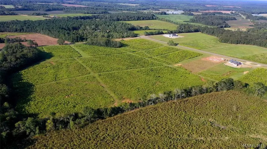 7277 County Road 625, New Brockton, AL 36351 - Image #2