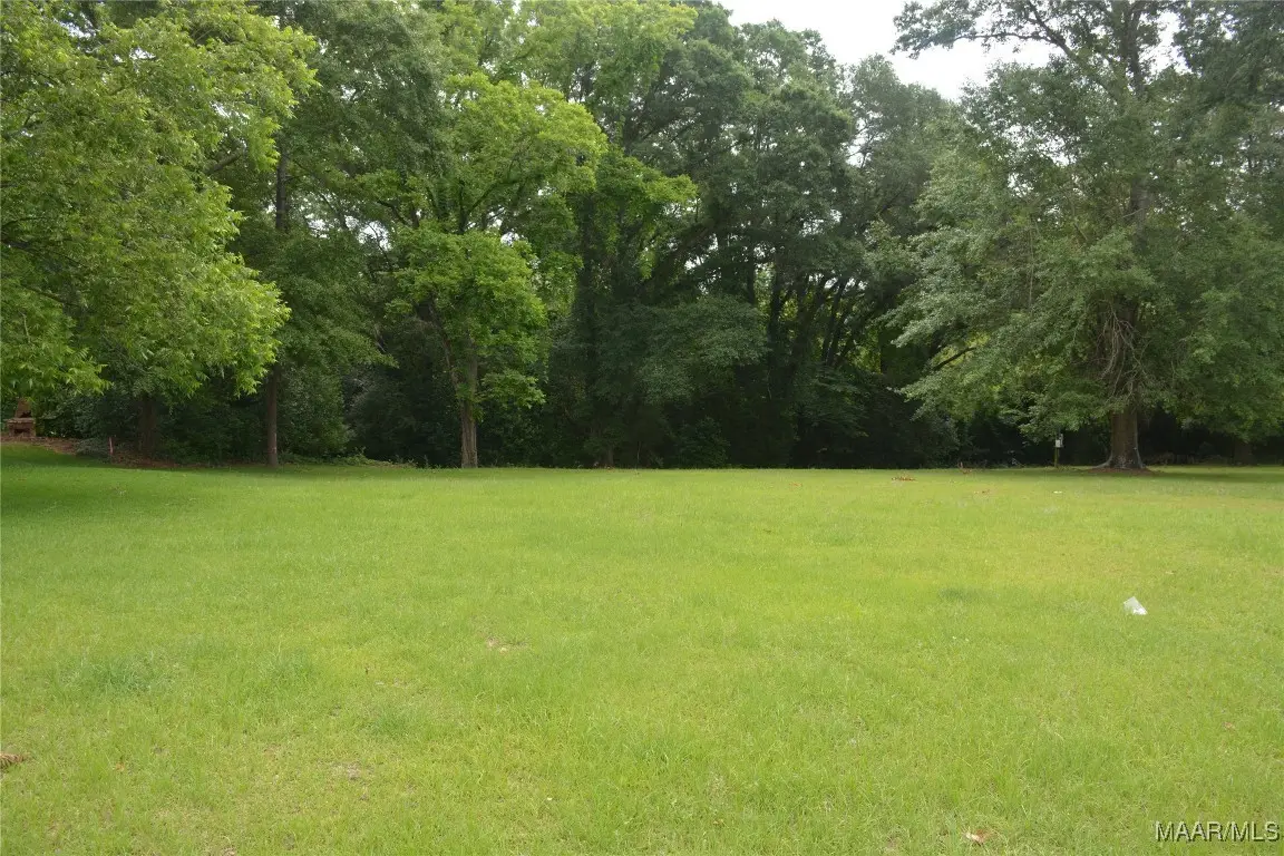 Lot 12 Highway 87, Troy, AL 36079 - Image #1