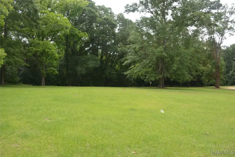 Lot 12 Highway 87, Troy, AL 36079 - Image #3