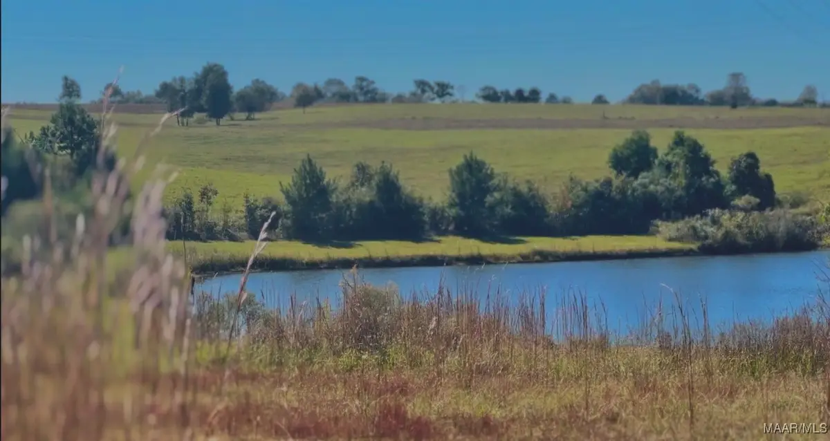 000 Culpepper Road, Coffee Springs, AL 36318 - Image #1