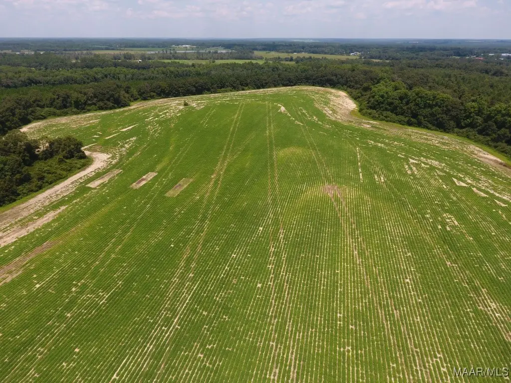 0 Chamblee Road, Kinston, AL 36453 - Image #1