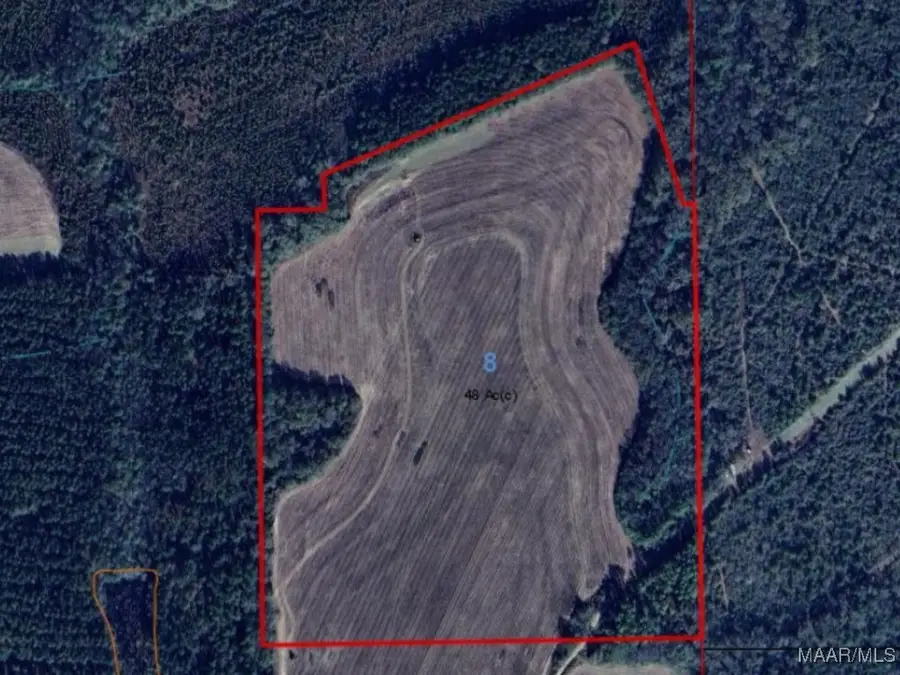 0 Chamblee Road, Kinston, AL 36453 - Image #3