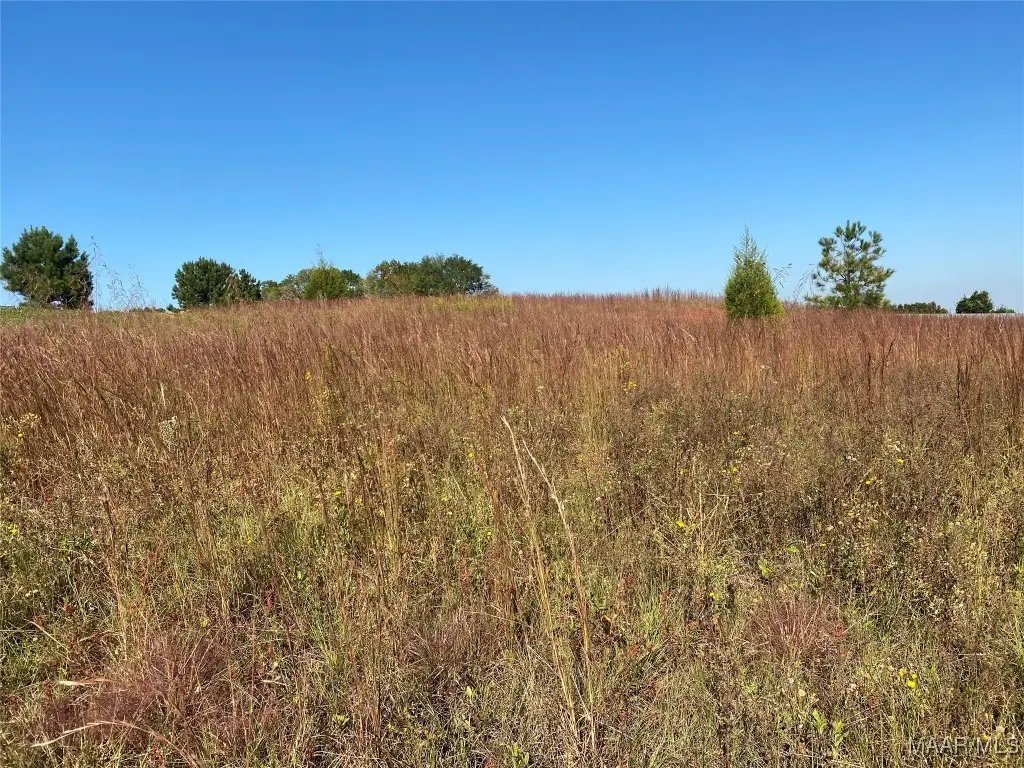 TBD County Road 537 Road, New Brockton, AL 36330 - Image #1