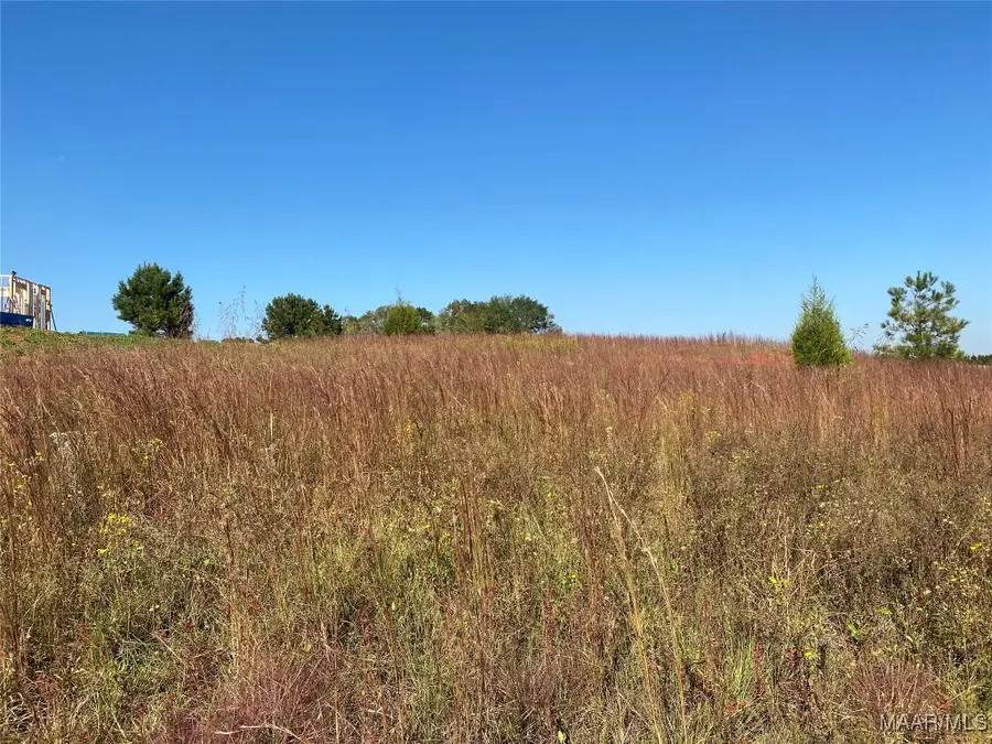 TBD County Road 537 Road, New Brockton, AL 36330 - Image #2