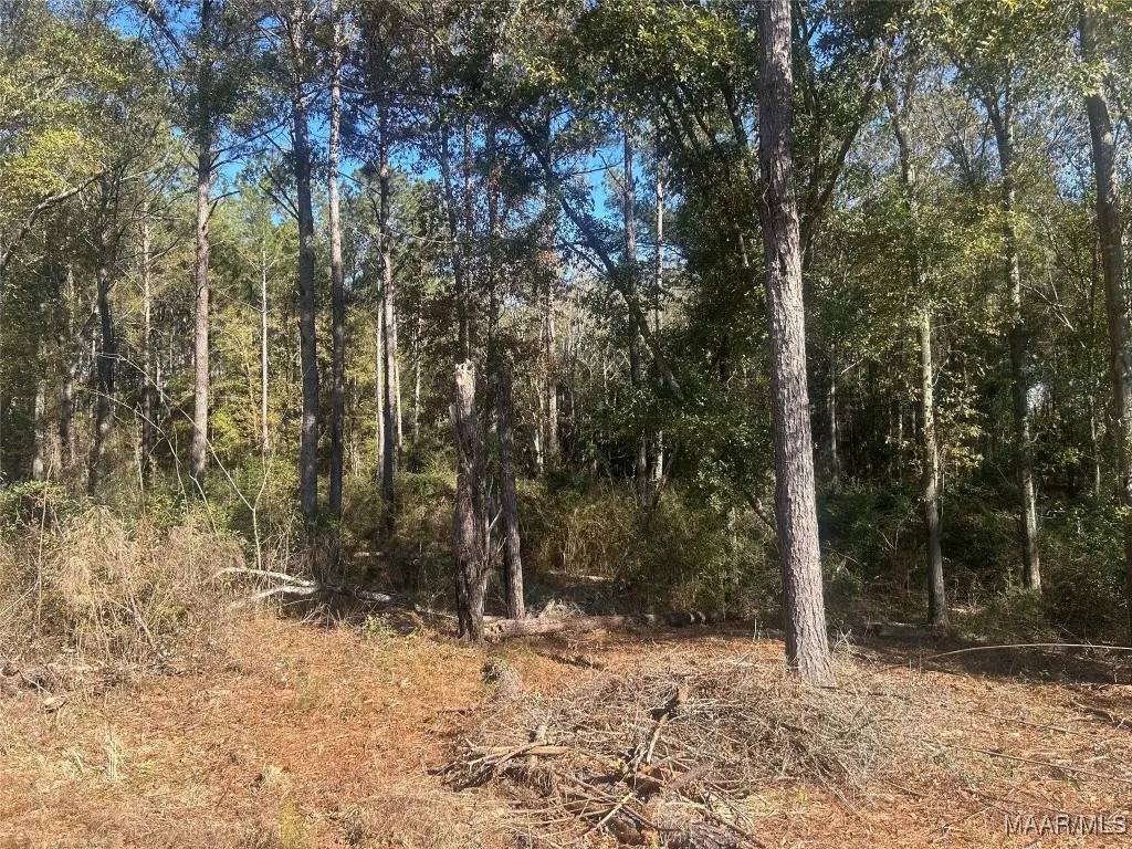 TBD County Road 619 Road, Enterprise, AL 36330 - Image #1