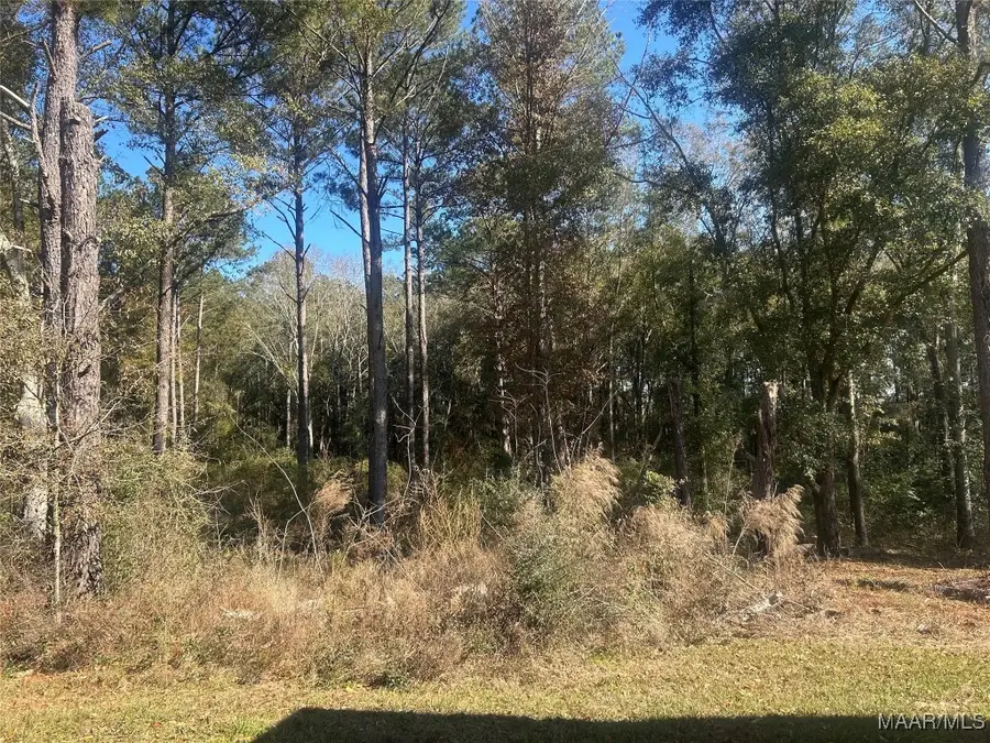 TBD County Road 619 Road, Enterprise, AL 36330 - Image #2