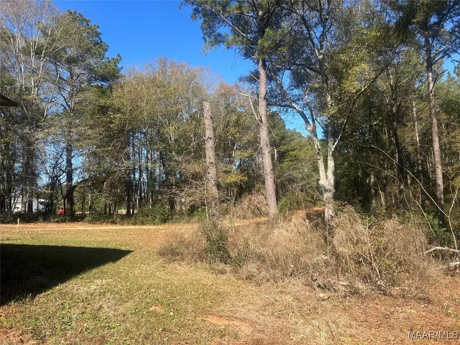 TBD County Road 619 Road, Enterprise, AL 36330 - Image #3