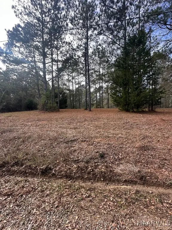 0 County Road 103, Brundidge, AL 36010 - Image #1