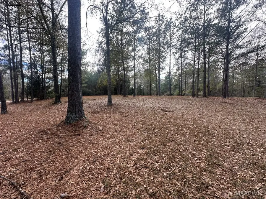 0 County Road 103, Brundidge, AL 36010 - Image #2