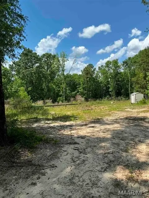 26929 Loango Road, Red Level, AL 36474 - Image #2