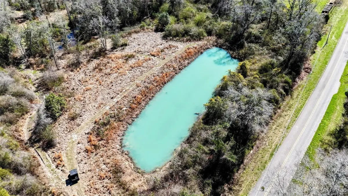 1245 S Ball Street, Slocomb, AL 36375 - Image #1