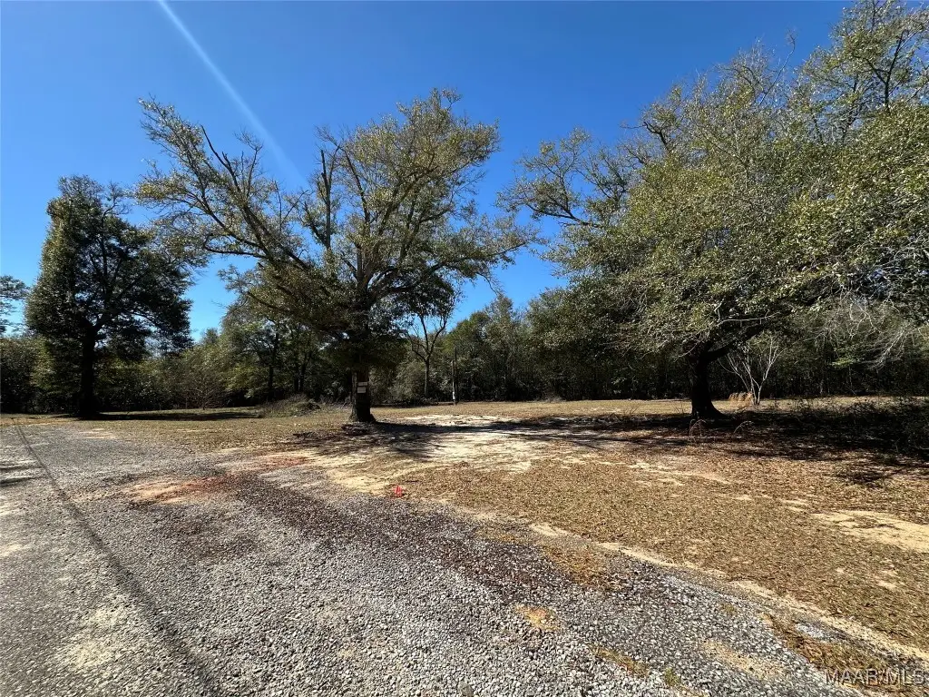 290 Balcom Road, Ozark, AL 36360 - Image #1