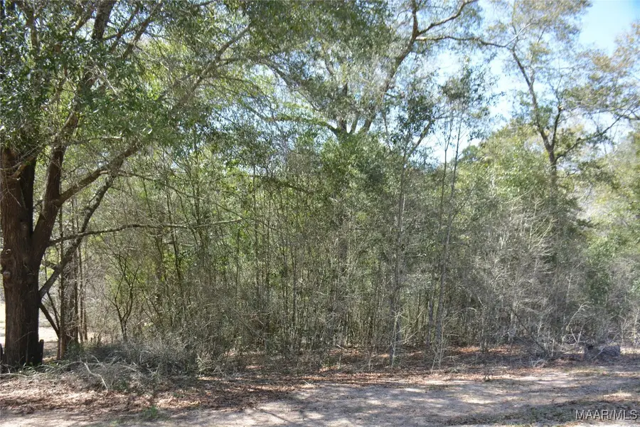Lot 12-15 Blk A Oak Lake Drive, Enterprise, AL 36330 - Image #3