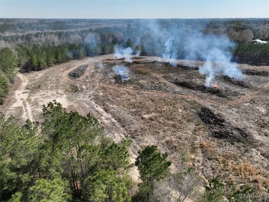 0 County Road 69 Highway, Skipperville, AL 36374 - Image #3