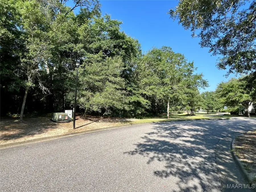 3.3 acres Thornberry Place, Ashford, AL 36312 - Image #2